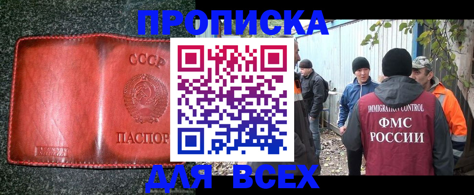 временная регистрация поиск в Сольцах